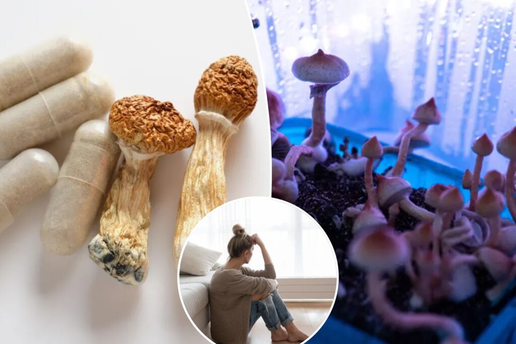 Researchers find only one dose of "magic mushrooms" could relieve depression for 5 years