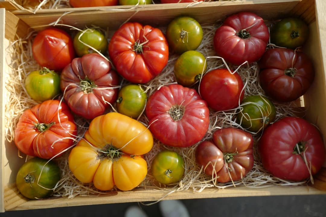 preserving sun dried tomatoes in olive oil