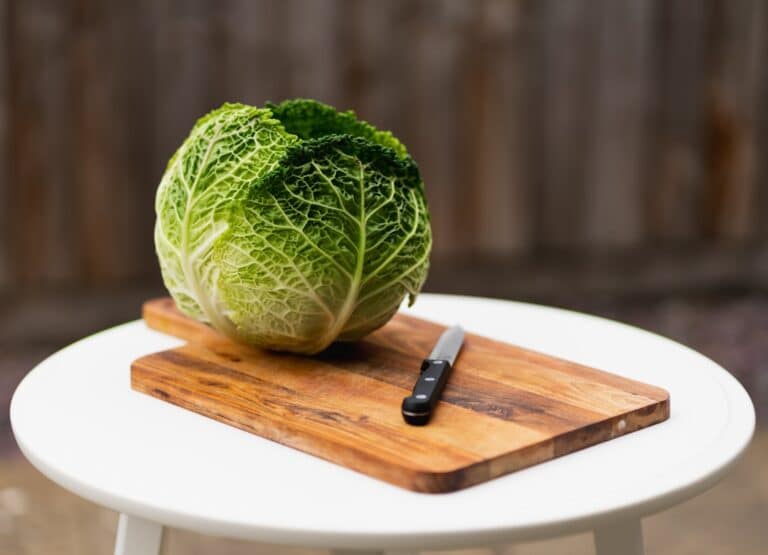 caraway seed sauerkraut recipe