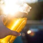 beginners guide to kombucha