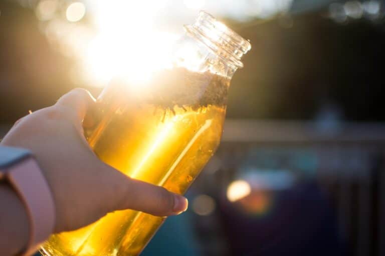 beginners guide to kombucha