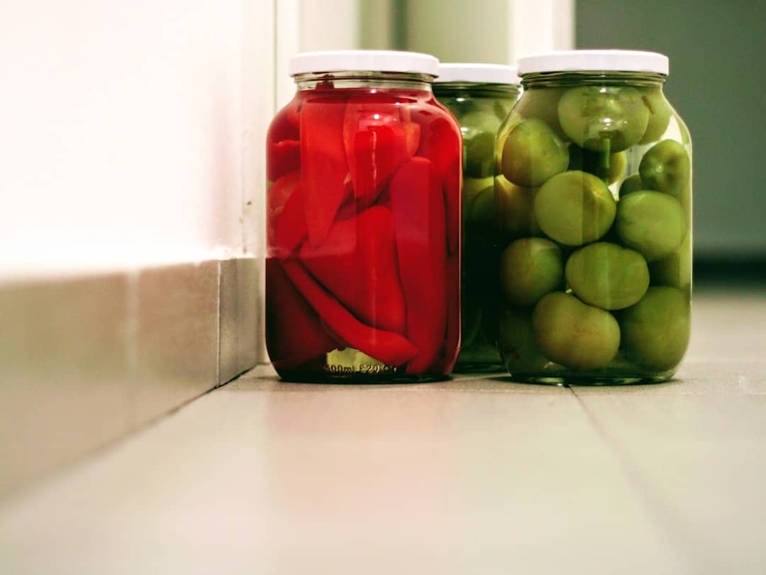 lacto fermentation preserving basics
