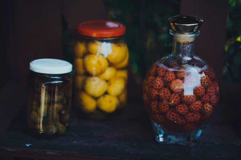 online fermentation course