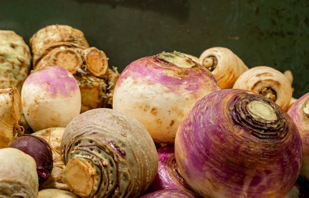 how to preserve root vegetables